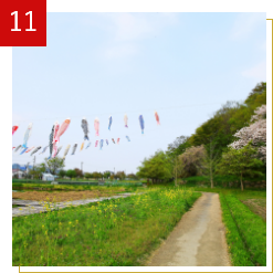 寄附金の活用方法11