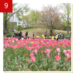 寄附金の活用方法9