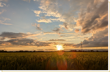移住定住推進の画像