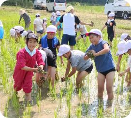 耕す教育の実践の画像