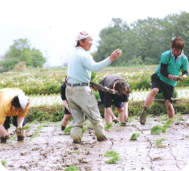 都市と農村の交流の画像