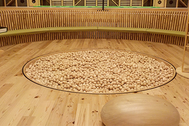 すぎだまプールの画像