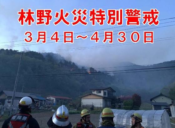 Amazon.co.jp: m182寛文7年(慶應元年写)大沼郡市野村畑方水帳与