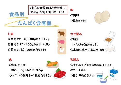 食品別たんぱく質含有量