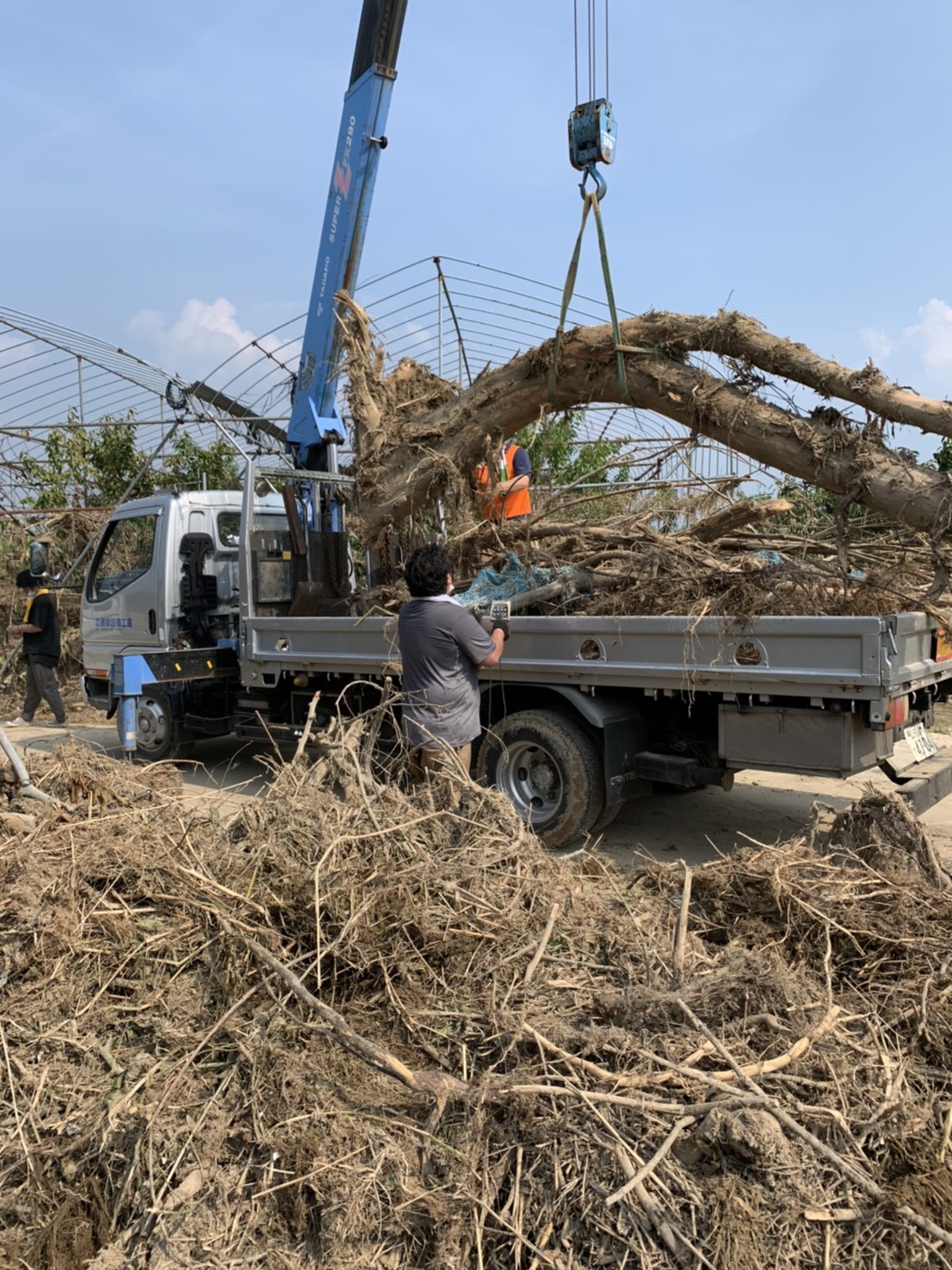 河北町での作業の様子