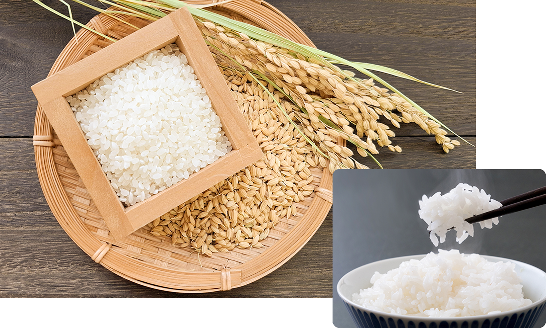 米の画像
