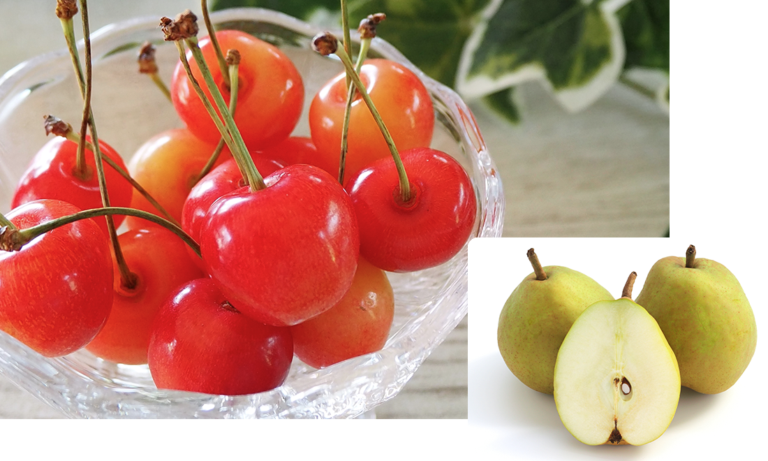 さくらんぼとラ・フランスの画像