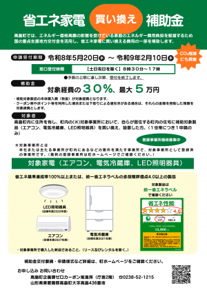省エネ家電買い換え補助金チラシ