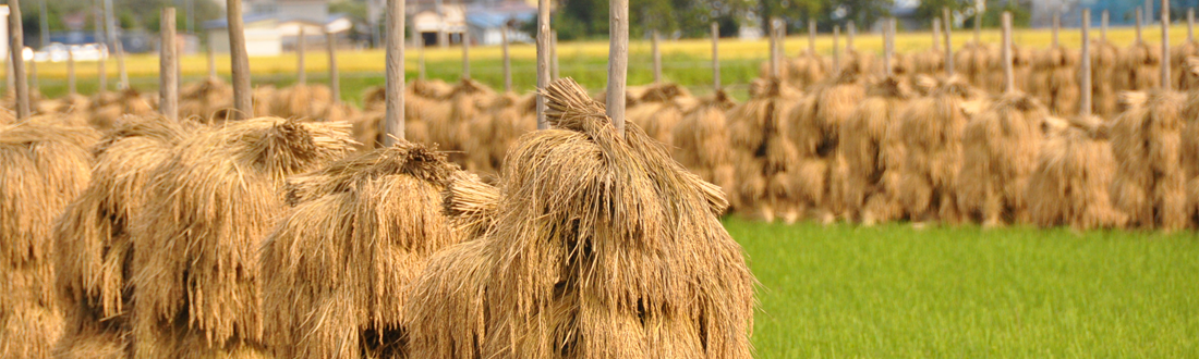 まほろばみのりのタイトル画像